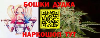 стафф Обь