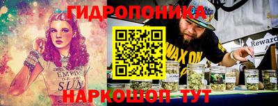 стафф Обь