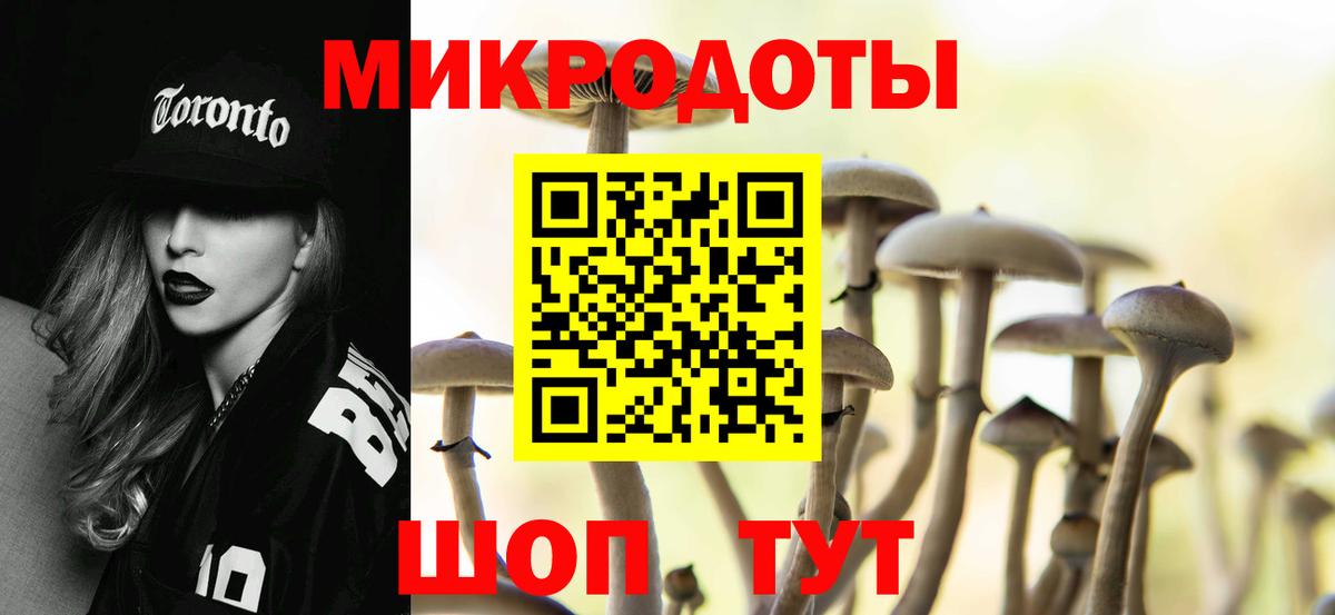 Галлюциногенные грибы Magic Shrooms  продажа наркотиков  Советск  Вход с VPN 